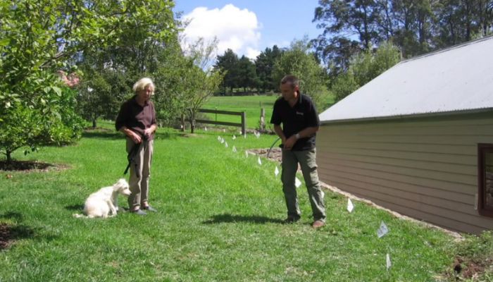 Ultimate GPS Wireless Dog Fence Collar for Secure Containment & Safety