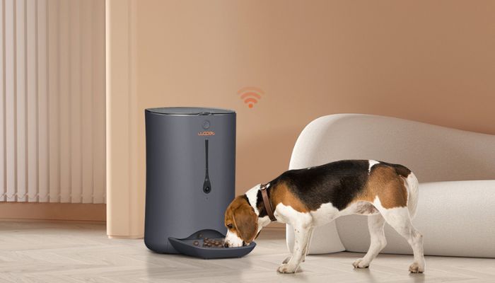 Exploring Automatic Pet Feeders