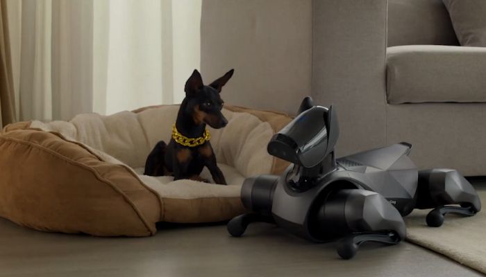 Unleashing the Power of Pet AI: Revolutionizing Pet Care in 2024