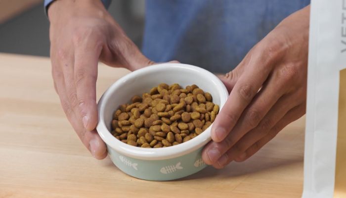 Top 10 Cat Foods for Urinary Health - Dry Cat Food Options for Urinary Care: