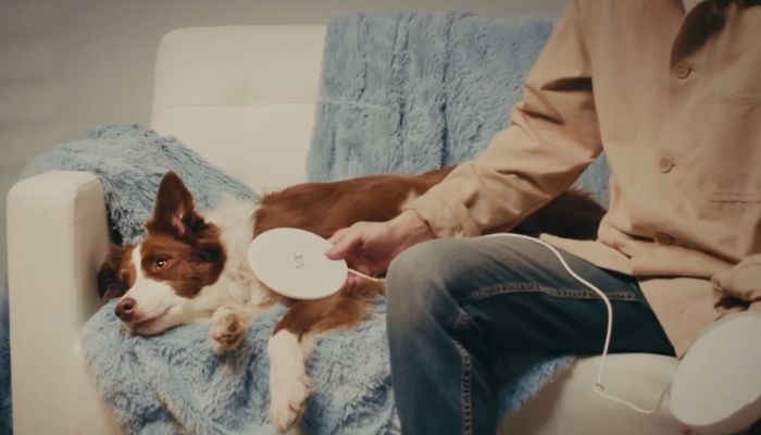 2024 Tech Trends: Innovations Shaping the Future of the Pet Care Industry