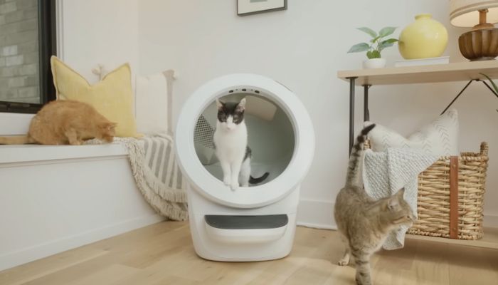 Litter-Robot 4: The Ultimate Self-Cleaning Litter Box for Cats