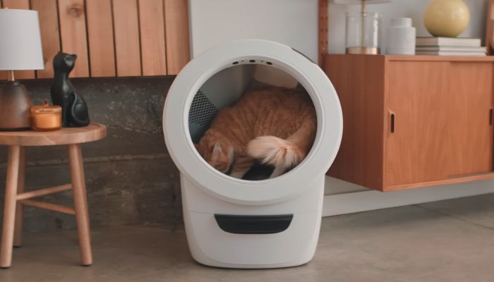 Litter-Robot 4: The Ultimate Self-Cleaning Litter Box for Cats