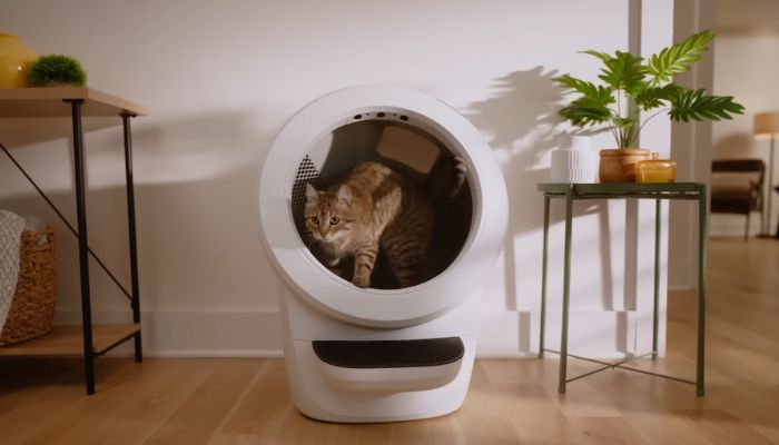 Litter-Robot 4: The Ultimate Self-Cleaning Litter Box for Cats