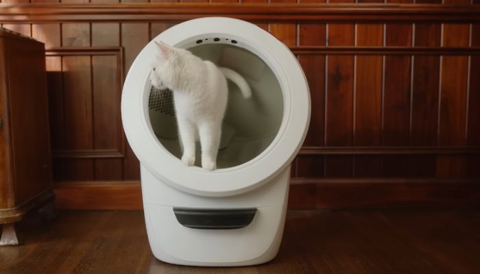 Litter-Robot 4: The Ultimate Self-Cleaning Litter Box for Cats