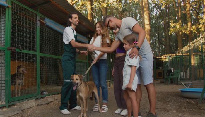 National Dog Day 2024: Celebrate Your Furry Friends on August 26!