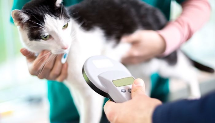 Comprehensive Pet Microchip Recovery Services: Advanced Tracking & Solutions