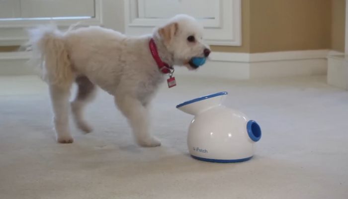 iFetch Too Ball Launcher - The Ultimate Interactive Dog Toy for Endless Fun