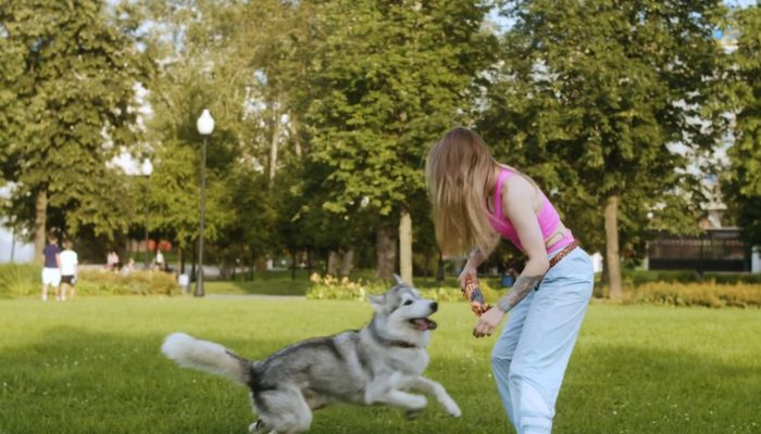 PuzzleFeeder™ - The Ultimate Slow Feeder for Engaging Your Dog